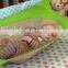 Baby Hanging Hammock Bed