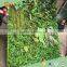 Guangzhou Factory Price Plastic Plant Green Wall for Outdoor Decorating