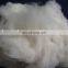 China factory wholesale Pure fine natural white cashmere fiber