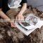 Double Sided Silky Soft Cuddly And Cozy Faux Fur Throw Blanket