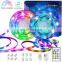 Remote Control 16.4ft 32.8ft Dynamic RGBIC Color Changing Chasing Effect Music Sync Addressable Dreamcolor LED Strip Light