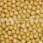 Chinese organic soybeans