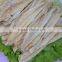 Dried Bule Whiting Fillet 2% salt