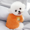 Amazon Hot Style Animal Accessories Dog Fashions Pet Clothes Winter Warm Clothing Low MOQ