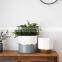 Custom Bonsai Modern Gold indoor outdoor garden ceramic succulent Planter Plant Flower Pot with Drainage Hole for Home decor