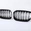 For BMW 1 Series F20 Dual Line High quality  Grille