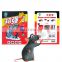 Humane Mouse Trap Glue Mouse Trap Folded Rat Trap Glue