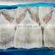 High quality todarodes squid fillet block packing