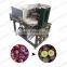 apricot pitting machine from Elva
