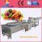 High capacity fruits date/apple/cherry tomorrow high pressure cleaning machine/air bubble washing machine