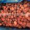 Chinese Frozen Strawberries Fruit
