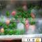 Vegetable and Fruit Bubble Washer / Bubble washing machine /Bubbling washer machine