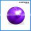 MACHUKA Fitness Exercise Gym Fit Yoga Core Ball 65CM 26" Abdominal Back leg Workout