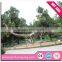 2016 Hot sale museum park life-size real dinosaur skull