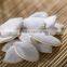 snow white pumpkin seeds & snow white pumpkin kernels