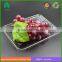 Food grade clamshell blister PET fruit tray packing