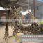 Dinosaur Fossil for Sale High Quality Fossil