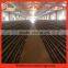 Modern Hot-sale Designed Commercial Quail Cages