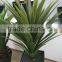 2016 new product high simulation artificial plant with factory price