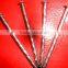 swaziland market twisted nails