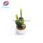 White Ceramic Flowerpot Artificial Cactus Plants For Home Decoration