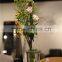 Newest Selling High Quality Home Decoration Different Types of Glass Vases