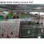 Ice tea filling machine/Hot filling machine for tea/juice