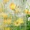 Factory price pattered glass for shower rooms, window and door