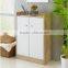 Practical modern shoe cabinet