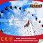 High Quality Amusement Park Equipment Giant Ferris Wheel for Sale
