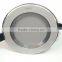 swivel downlight
