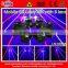 LN300RB 2000mW RB 8-Head Mobile Fat-Beam Laser Net