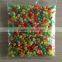 Cheap Halal Jelly Bean In Bulk