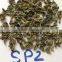 High Quality Best Taste and Competitve Price Green Tea SP2