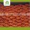 Hot selling chinese yellow onions with great price