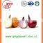 FOR SALE Export Fresh Red and Yellow Onion