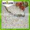 High Quaity Snow White Pumpkin Seeds From Golden Supplier With Best Price