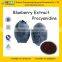GMP Certified Manufacturer Supply Blueberry Extract