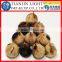 Chinese Organic Single Bulb Black Garlic