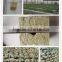 Agricultural Rockwool cubes for plants growing/rockwool substrate