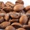 Best selling products organic cultivation type green coffee beans cocoa bean