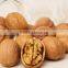 Good price and best quality professional walnut crushing machine/almond decorticator machine