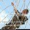 High quality exercises machines climbing nets