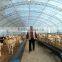 PE film greenhouse