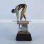 Sports Trophy Cup