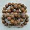 Buddha Chitta 13 Beads Bodhi Seed Genuine Indonesian Phoenix Eye Mala Phrengba