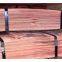 Copper Cathode