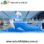 Inflatable Finback Whale Pool Aqua Run / Inflatable Water Sport Obstacle Games