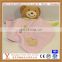 Best sale&high quality green super soft plush stuffed Teddy Bear blanket 2015 new design for baby