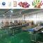 sandwich packing machine napkin packing machine cookie packaging machine